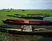 Ruderboote liegen am Flussufer, Biebrza, Polen