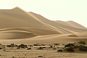 Wüstenlandschaft mit Sanddünen, Swakopmund, Namibia, Afrika