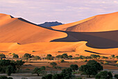 Wüstenlandschaft und Sanddünen bei Sonnenuntergang, Namib Wüste, Sossusvlei, Namibia, Afrika