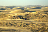 Strommast, Mitten in der Wüste, Lüderitz, Namibia, Africa