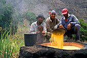 Distil liquor of sugar cane, Paul, Santo Antao, Cape Verde Islands, Africa