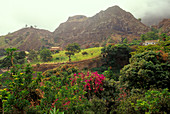 Mountain Landscape in Paul, Santo Antao, Cape Verde Islands, Africa