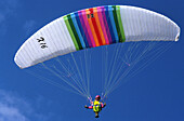 Paragliding, Sport Sport