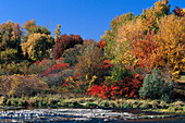 River, Indian Summer, P. Quebec Canada