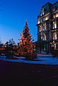 Christmas tree, Montreal, Prov. Quebec Canada