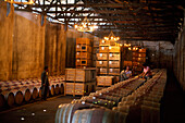 Men standing in a hall with wine barrels, Valle Colchagua, Chile