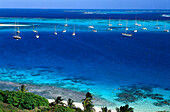 View at boats in a bay in the sunlight, Horseshoe Reef, Tobago Cays, St. Vincent, Grenadines, Carribean, America