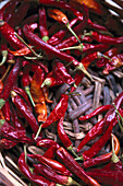 Dried chili peppers in a basket, Finca Monaber Vell, Majorca, Spain, Europe