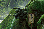 Mossy sculpture at the river of the monastery Eiheiji, Honshu, Japan, Asia