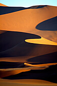 Sanddünen im Sonnenlicht, Sossusvlei, Namib, Naukluft Park, Namibia, Afrika