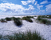 Dunes and sea, Dueodde, Bornholm, Baltic Sea, Denmark