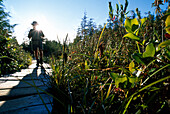 Mann beim Wandern, Hiking Trail, Cape Alava, in der Nähe von Ozette, Olympic Nationalpark, Washington, USA