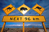 Schild, Kamele, Wombats, Kaenguruhs, Eyre Highway Suedaustralien, Symbols