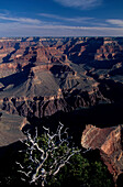 Am Hopi Point, West Rim Drive, Grand Canyon Nat. Park Arizona, USA