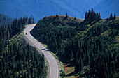 Straße zur Hurricane Ridge, Olymic Nationalpark Washington, USA