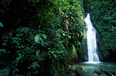 Fontainbleu Wasserfall, Grand Etang Forest Reserve Grenada