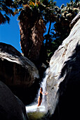 Wasserfall, Borrego Palm Canyon, Anza-Borrego Desert State Park Sued, Kalifornien, USA