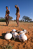 Pete and George, San Bushmen, pointing out an old ostrich nest with eggs, Intu Africa Kalahari Game Reserve, Lodge, Namibia, Africa