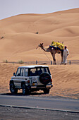 Wüstentour, Sünddüne b. Glirefah Dubai, Vereinigte Arabische Emirate