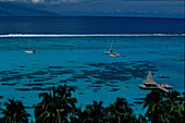 Lagune am Sofitel, Hotel La Ora, Moorea Franzoesisch-Polynesien