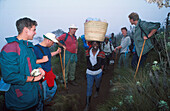 Bergsteiger und Träger, Moorzone, Marangu Route, Kilimanjaro Tansania