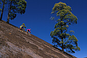 Two people on a mountain bike tour riding downhill, MTB Tour, Teneriffe, Canary Islands, Spain, Fully Released