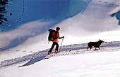 Woman skiing with dog, traces in snow, Skiing tour, Dachstein, Austria