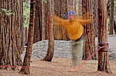 Seiltanzen in Camp 4, Yosemite Valley, Kalifornien, USA