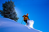 Woman snowshoeing through a winter landscape, Kolm-Saigurn, Hohe Tauern, Salzburg, Austria