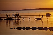 People on a footbridge, Sundown, Near Faldsled, Fünen Denmark