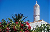 Typical chimney, Algarve Portugal