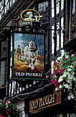 Old Plough Pub, Shropshire, Shrewsbury Europe, England