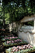 Friedhof-Grab der Familie Goethe, Weimar, Thueringen Deutschland, Europa