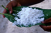 Zubereitete Kokosnuss, Bora Bora Franzoesisch-Polynesien