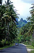 Straße, Moorea Französisch-Polynesien