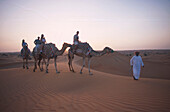 Kamel Ritt, Maha Desert Resort, Dubai Vereinigte Arabische Emirate