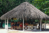 Cruise Bar, Dragon Bay Resort, bei Port Antonio Jamaika