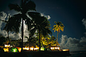Coconut Trees at Night, Rarotongan Beach Resort Rarotonga, Cook Islands