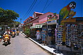 Terre-de-Haut, Iles des Saintes Guadeloupe, Carribean