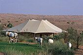 Arabian Onyx & Beduin Suite, Al Maha Desert Resort Dubai, VAE