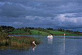 Carrick Craft Kilkenny, Muckros Lough Shannon-Erne Waterway, Ireland