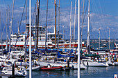Cowes Marina and Ferry, Week Regatta, Cowes Isle of Wight, England