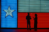 Neon Texas Flag, Institute of Texan Culture, San Antonio, Texas, USA