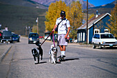 Skatboarder with Dogs, Crested Butte , Colorado, USA