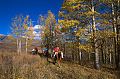 Fantasy Ranch Pack Trip, Crested Butte , Colorado, USA