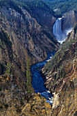 Lower Falls, Grand Canyon, View from Artist Poin, Yellowstone NP , Wyoming, USA