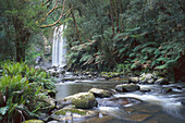 Hopetoun Falls, near Beech Forest Victoria, Australia