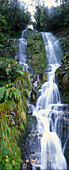 Wasserfall am Haast Pass, Mt. Aspiring National Park, nahe Haast, Westküste, Südinsel, Neuseeland
