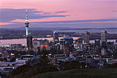 Sky Tower & Skyline at dusk, View from Mt. Eden Auckland, New Zealand