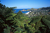 Hahei, Coromandel Peninsula, North Island New Zealand